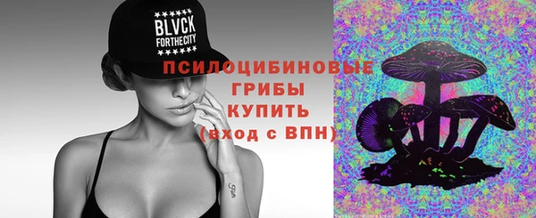 спиды Алзамай