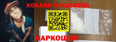 гашик Дубна
