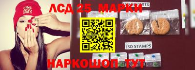 гашик Дубна