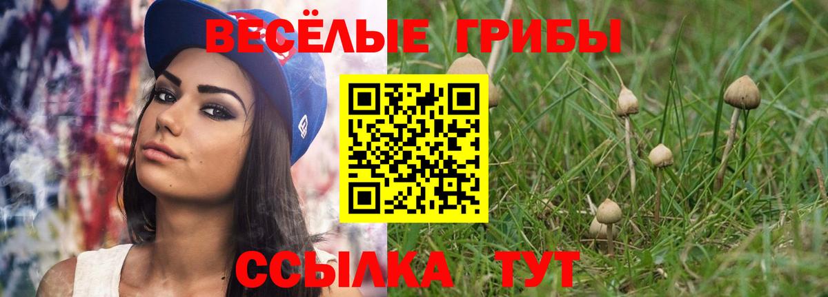 Псилоцибиновые грибы прущие грибы Железноводск